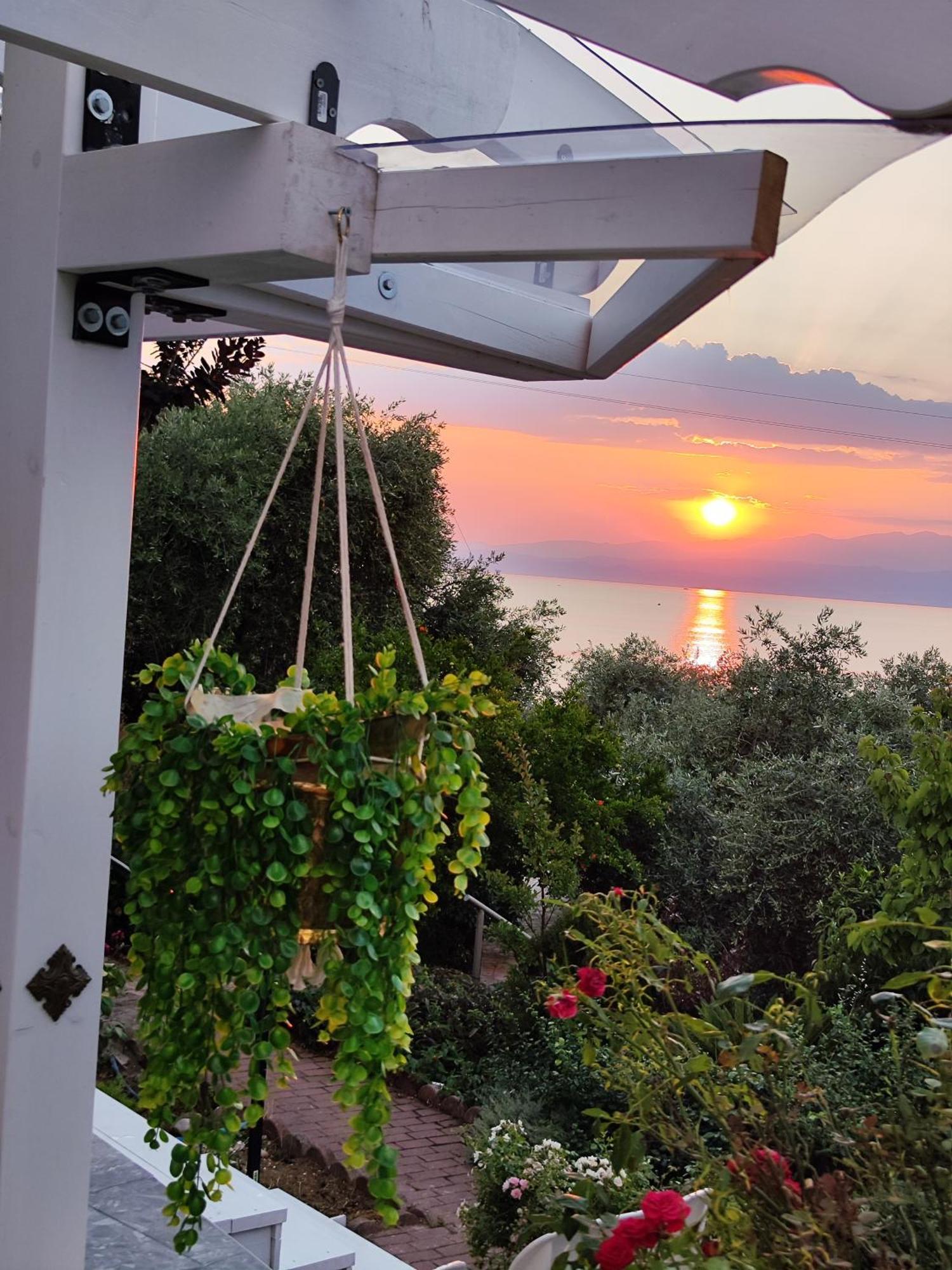 Villa Panorama, Now A Smart Home Skála Kallirákhis エクステリア 写真